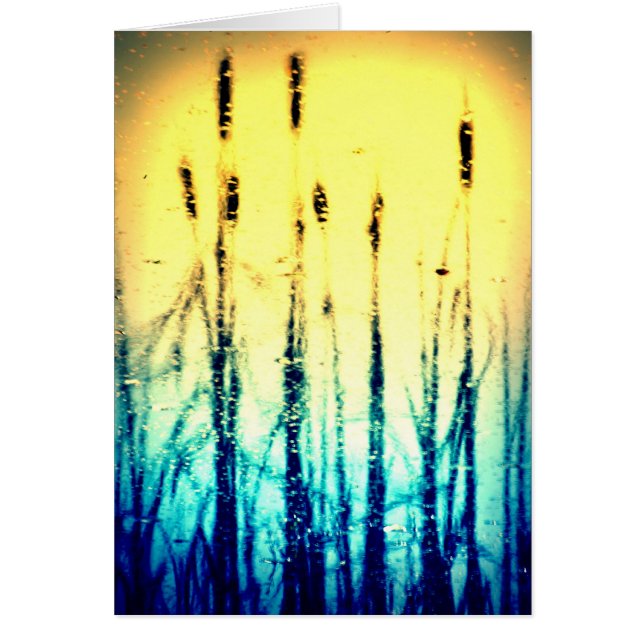 Reflected Glory (Front)