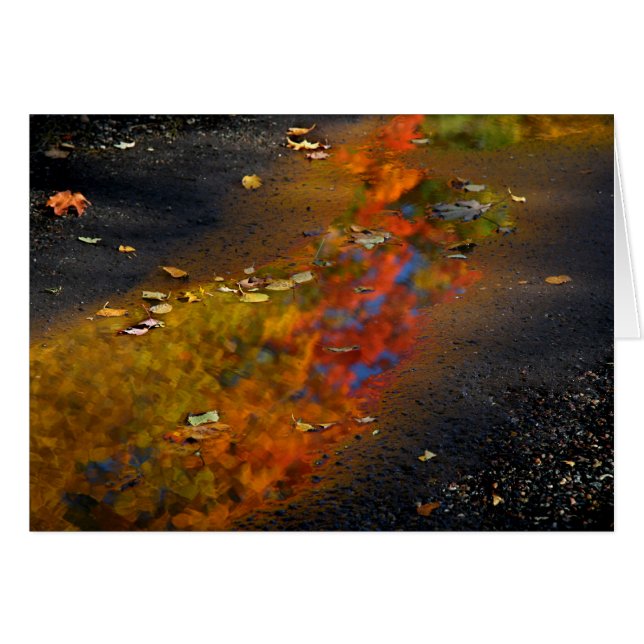 Reflected Glory (Front Horizontal)