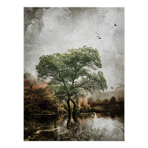 Reflected Silence Poster