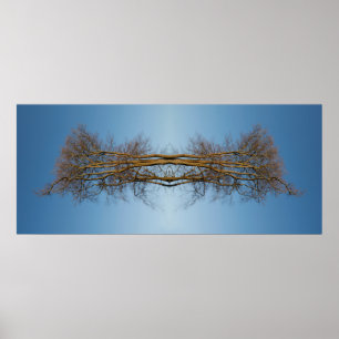 Reflected trees poster