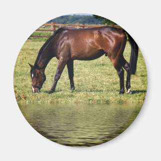 Reflecting Bay Magnet