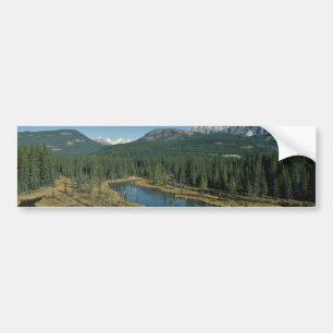 Reflecting Eyes Bumper Sticker