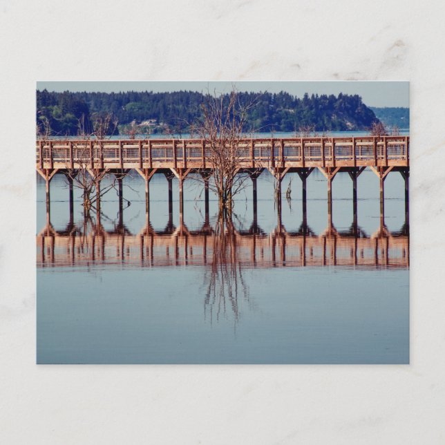 Reflecting Together Postcard (Front)