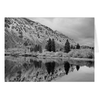 Reflection