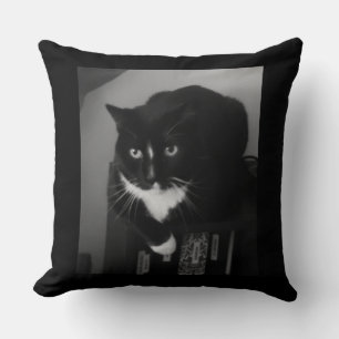 Reflection Cushion