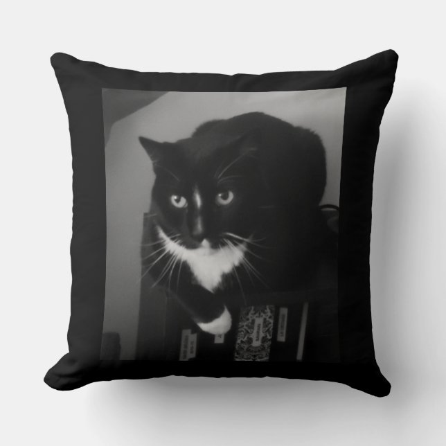 Reflection Cushion (Front)