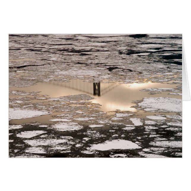 Reflection In Gold (Front Horizontal)