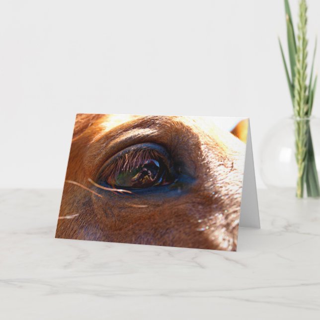 Reflection in Horse's Eye Card (Front)