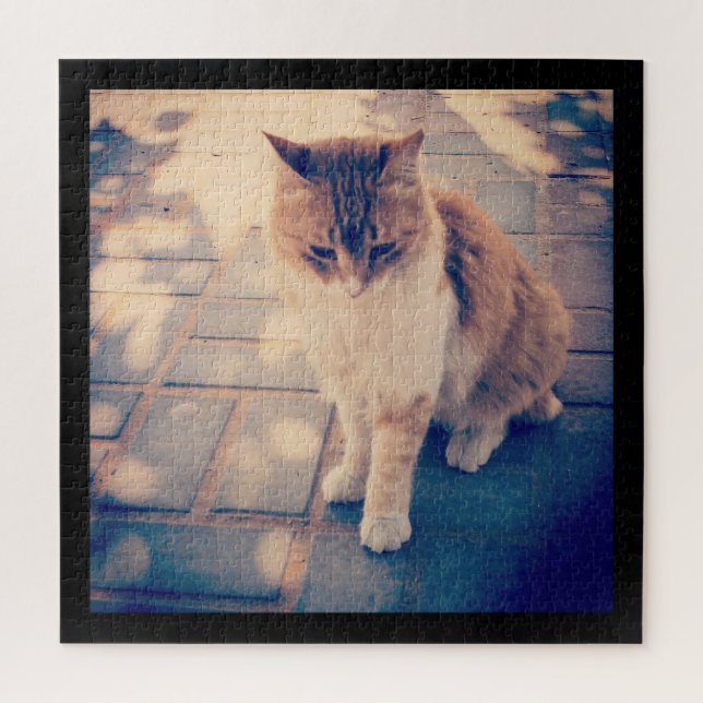 Reflection  jigsaw puzzle (Vertical)