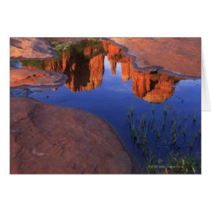 Reflection of Cathedral Rock at Red Rock 2