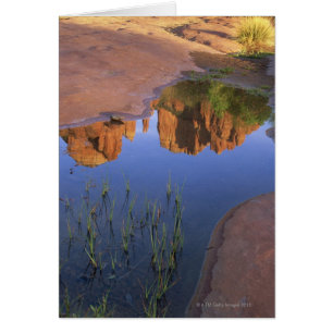 Reflection of Cathedral Rock , Sedona , Arizona