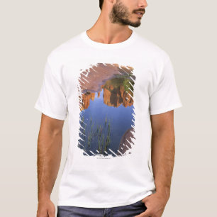 Reflection of Cathedral Rock , Sedona , Arizona T-Shirt