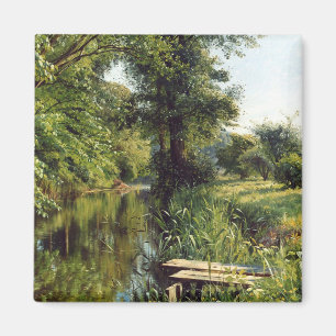 Reflection of Spring Magnet