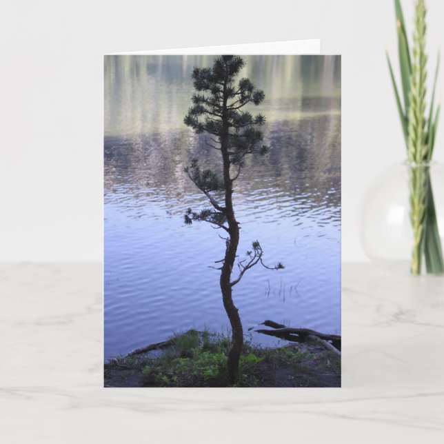 Reflection on the water card (Front)