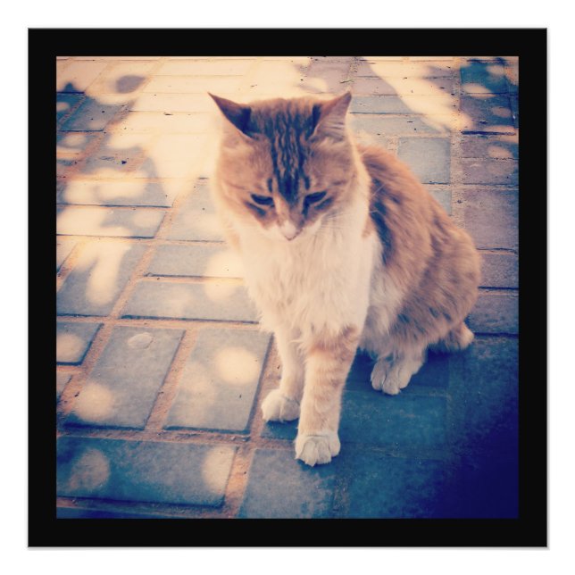 Reflection Photo Print (Front)