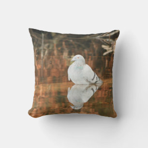 Reflection - pigeon decorator pillow
