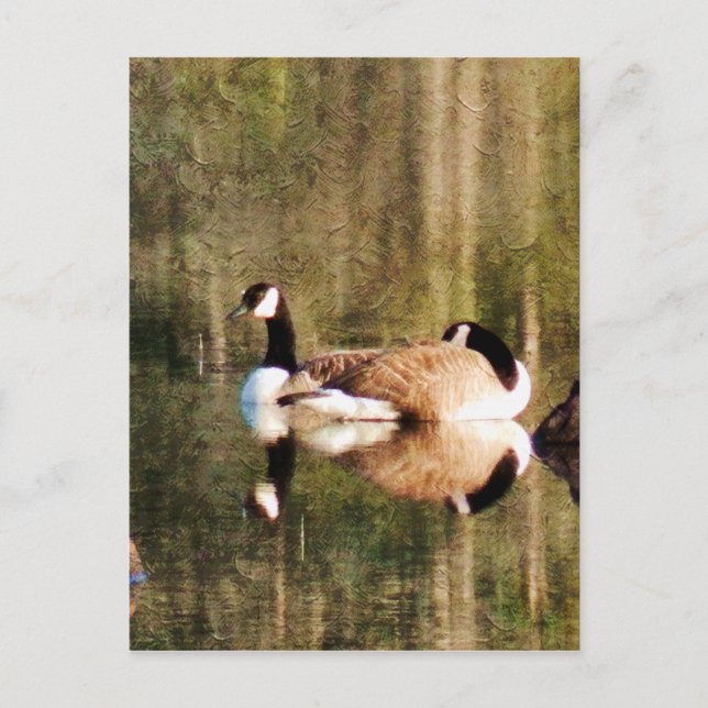 Reflection Postcard (Front)