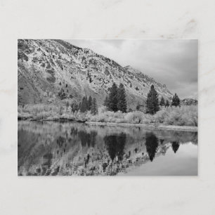 Reflection Postcard