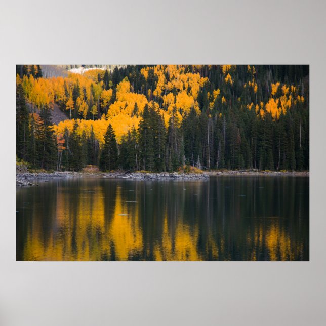 Reflection Poster (Front)