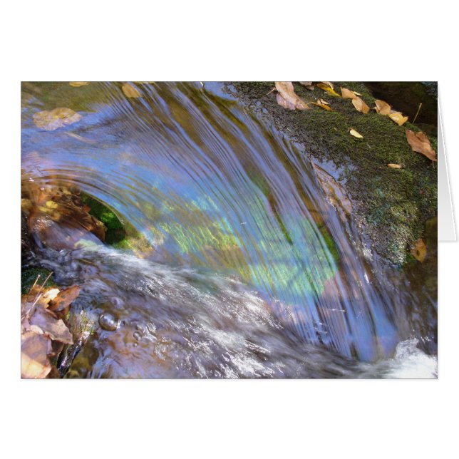 Reflections (Front Horizontal)