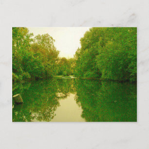Reflections 4 Postcard