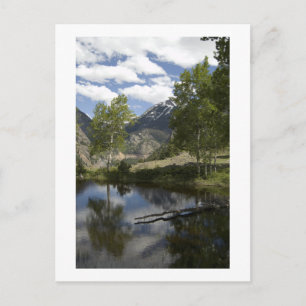 reflections along the trail postcard