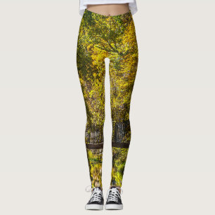 Reflections Beginning Painterly Leggings