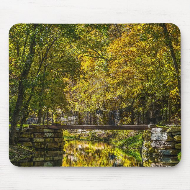 Reflections Beginning Painterly Mouse Pad (Front)