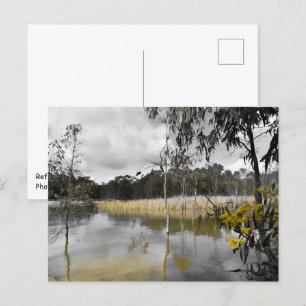 Reflections Beneath Grey Skies Postcard