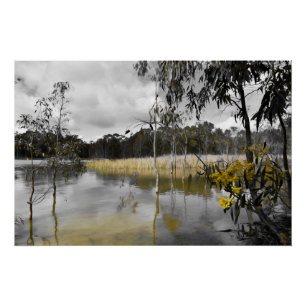 Reflections Beneath Grey Skies Poster