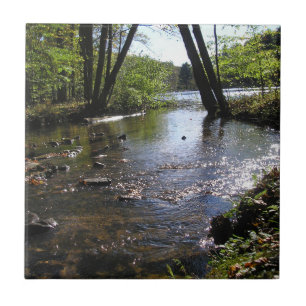 Reflections II Ceramic Tile