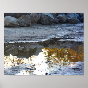 Reflections In A Puddle Nature Poster