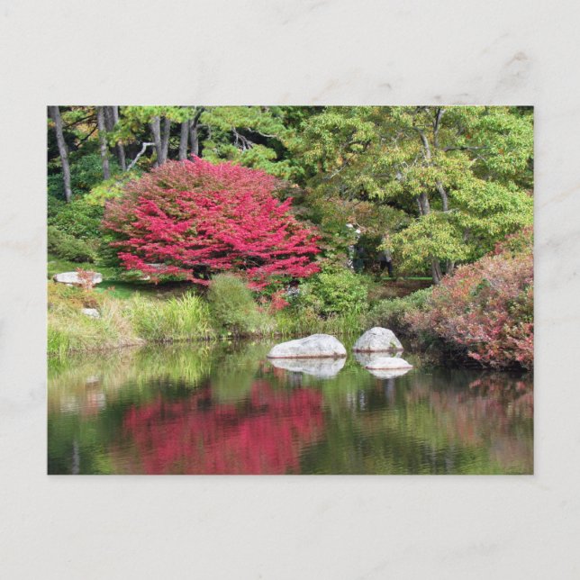 Reflections in an Azalia Garden Post Card (Front)