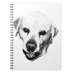 Reflections in Ink Notebook