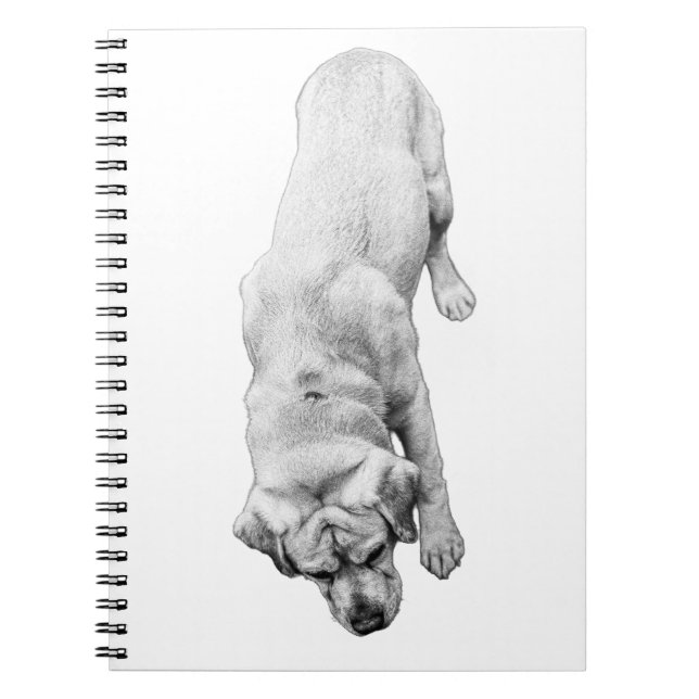 Reflections in Ink Notebook (Front)