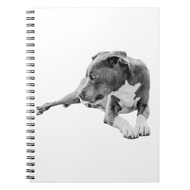 Reflections in Ink Notebook (Front)