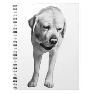 Reflections in Ink Notebook