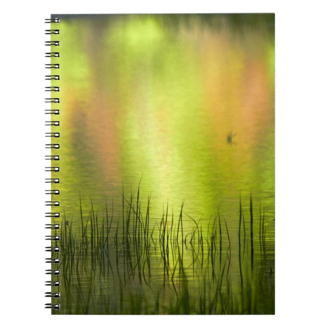 Reflections in Mirror Lake | Yosemite Notebook (Front)