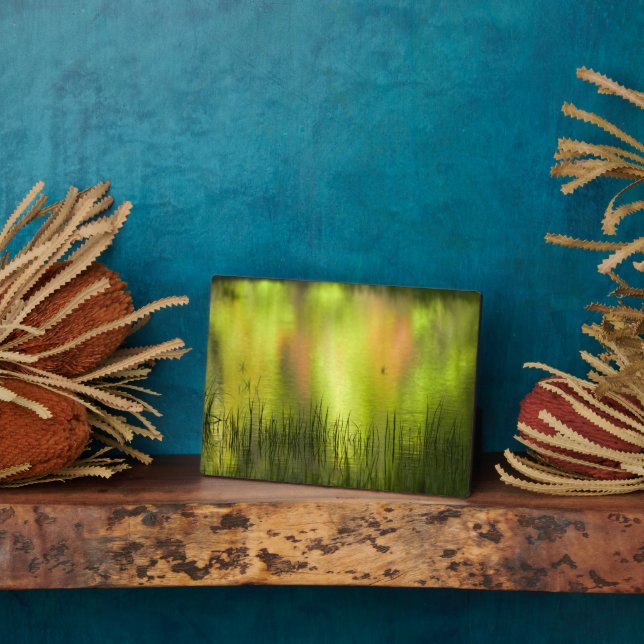 Reflections in Mirror Lake | Yosemite Plaque (Side)