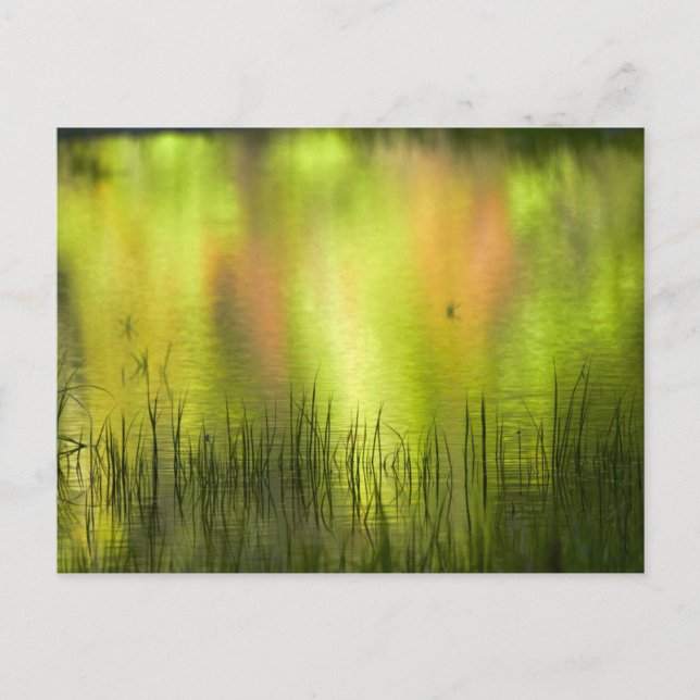 Reflections in Mirror Lake | Yosemite Postcard (Front)