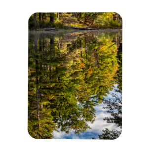 Reflections in Red Eagle Pond   White Mountains Magnet