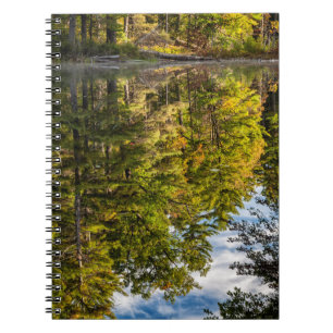 Reflections in Red Eagle Pond White Mountains Notebook