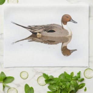 Reflections of a Northern Pintail Duck Tea Towel