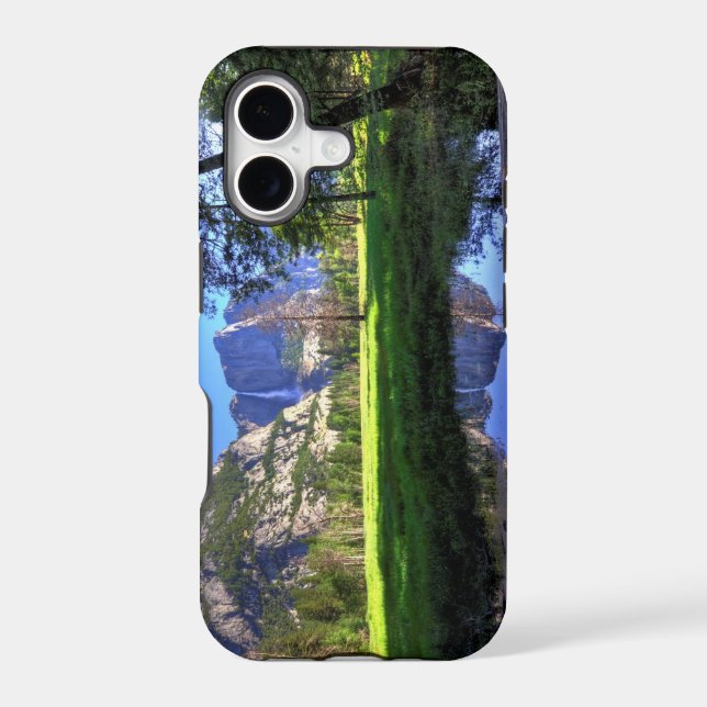 Reflections of Falls (Back)