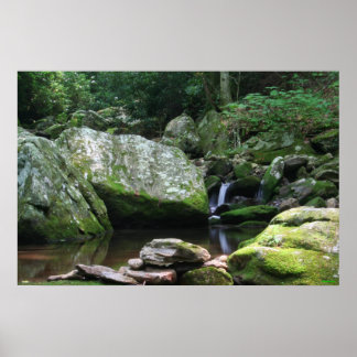 Reflections of Mineral Creek Poster