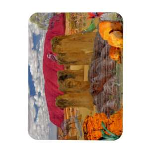 REFLECTIONS OF OZ Australian Outback Magnet
