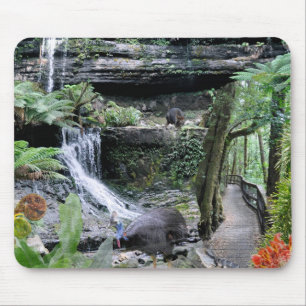 REFLECTIONS OF OZ Australian Rainforest Mouse Pad