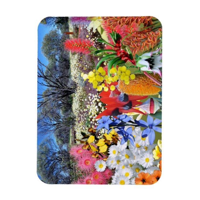 REFLECTIONS OF OZ Australian Wildflowers Magnet (Vertical)