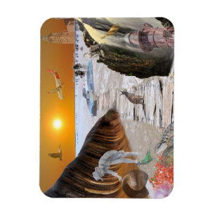REFLECTIONS OF OZ WAVE ROCK BRISBANE MAGNET