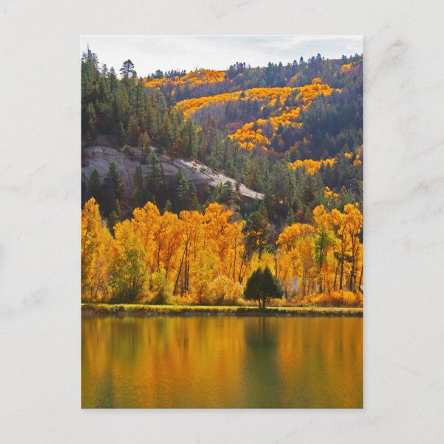 Reflections on Autumn in Dolores Postcard (Front)